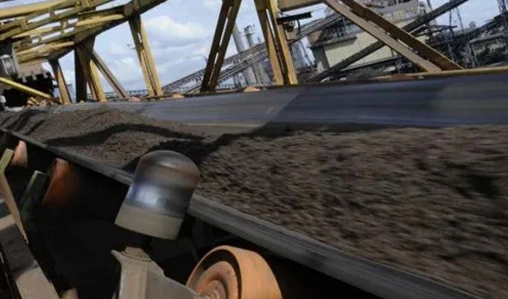Straight Warp Conveyor Belt